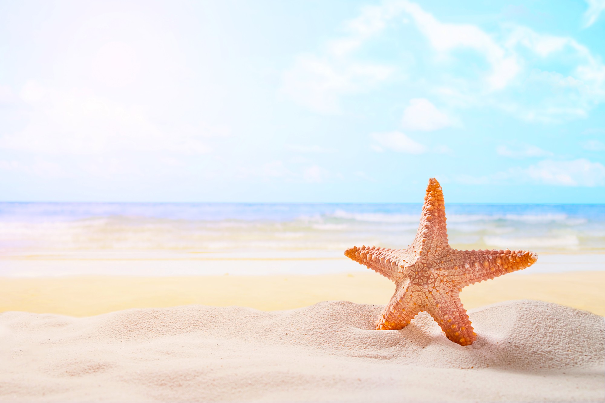 Ofertas de Verão Digitalize - o momento ideal para preservar as suas memórias